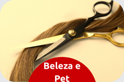 Cópia de Nosso carro-chefe.png